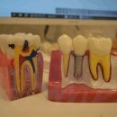 서울사랑치과의원 이미지