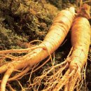 미래한의원 이미지