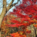 케이밸리컨트리클럽 이미지