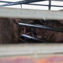 박상환농장 이미지