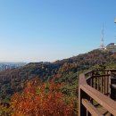 남산 이미지