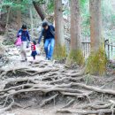 혜숙농장 이미지