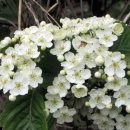 운향농장 이미지