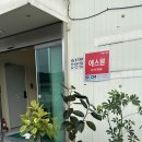 식물 인테리어 | 천안 사무실 화분 납품 후기🌿 보편가든 인테리어 식물