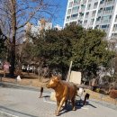 본리어린이공원 소  이미지