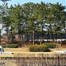 부조묘 이미지