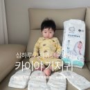세심촌가 | 카이야 컴포트 기저귀 후기｜얇고 통기성 좋은 심하루 기저귀 흡수력 테스트 해봤어요