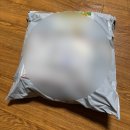 삼가우체국 | 우여곡절, 나애 히메 산 쿠션 구매기 (with 바이이)