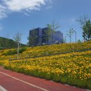 율하천자전거길 이미지