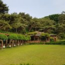 금수산산마루 이미지