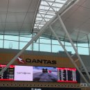 1505 | [호주] 콴타스항공 시드니-태즈메이니아 호바트 QF1505 후기 | A220-300, 시드니공항 셔틀버스