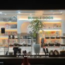 버블독스송파