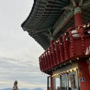 나무애그림 이미지