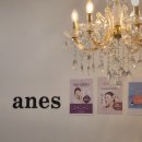 아네스화장품 | 오산역 속눈썹펌 '아네스뷰티' 추천 솔직 후기