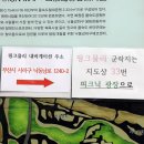 을숙도 풋살경기장 이미지