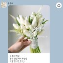 꽃술 | 웨딩준비) 꽃술예 부케 예약후기