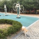 대성사우나 미용실 이미지