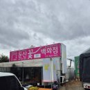 [둔산 꽃 백화점] 유성 꽃 도매, 탄방초 입학생 ! 축하맞이 신학기 홍보 내돈내산 후기 ! 카랑코에