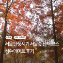 서울숲길 | 서울 단풍시기 서울숲 산책코스 성수 데이트 후기