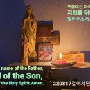 벌교태인 이미지