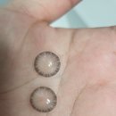 데일리안경원 위드렌즈 이미지