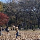 (11월 1주) 가을? 겨울?