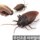 R&C 이미지