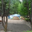 계곡이야기 이미지