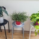 김선희 GX휘트니스 이미지