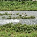 나무생각펜션 이미지