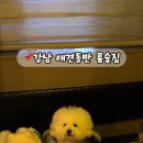 다슬음 이미지
