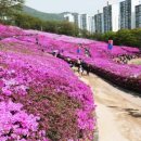 철쭉동산 이미지