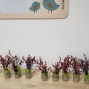 래미안어반파크어린이집 이미지