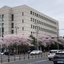 세븐일레븐 제주라마다시티점 이미지