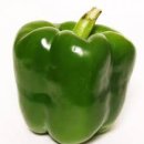 피망 이미지