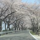 스위티모텔 이미지