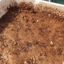 현방 500소갈비살 이미지