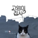 고양이집사 이미지