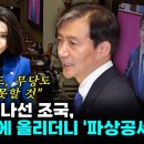 조국 국회연설 100점이더라 해서들어봤더니.... 과연 수재다운 연설 이미지