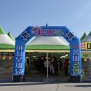 홍성식품 | 홍성 새조개축제 후기 새조개가 없다고? 회타운 위치 선일수산 추천