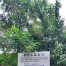 강변로2(서) 이미지