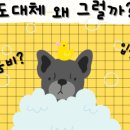 멈무살롱 이미지