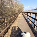 통양사랑테마공원 이미지