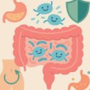 우리집 | 락토핏 생유산균 베베 우리집 유산균 후기