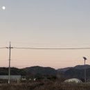 더 품은 이미지