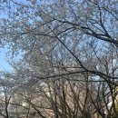 우리의계절 이미지