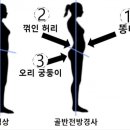 택짐피티샵 네이버블로그