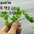 좋은이웃 Daum카페
