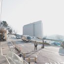 (주말) 서양화 | 언노운 바이브 아트페어 신라호텔 관람 후기