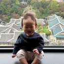 어반아일랜드 | 아기와 영빈관뷰 [서울신라호텔] 내돈내산 후기 / 아기용품 대여, 주차, 키즈라운지, 어반아일랜드 후기